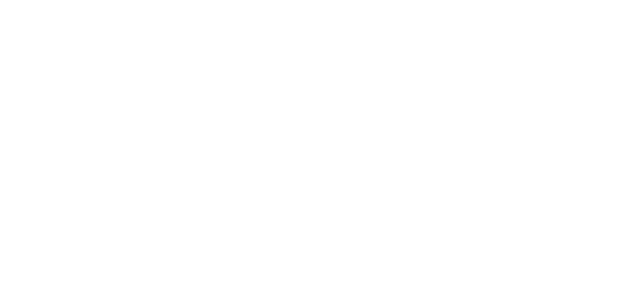 University of York Logo